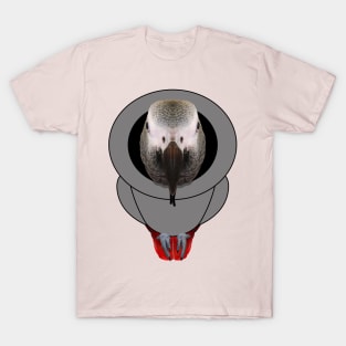 African Grey Parrot Hoodie T-Shirt